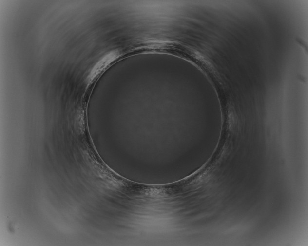 X0000102041362200807181503