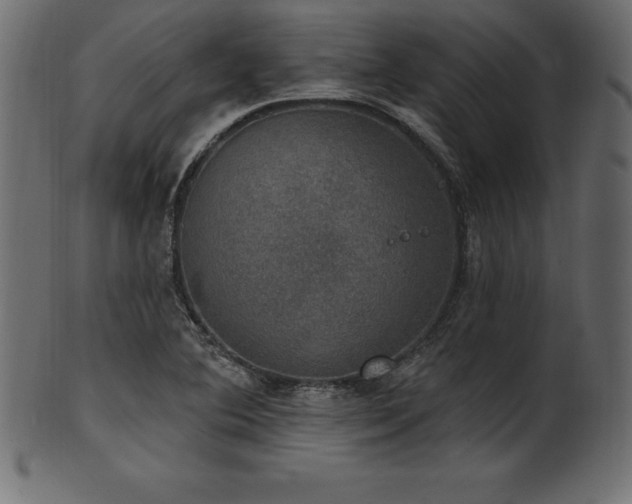 X0000102041364200807181503