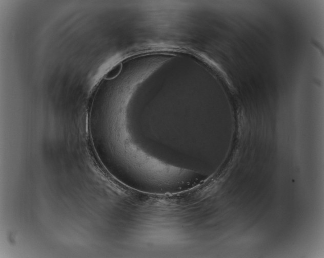 X0000102041365200807181503