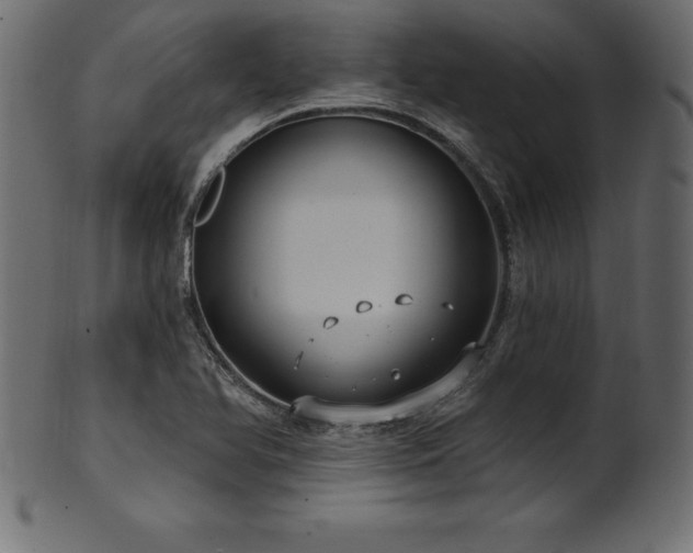 X0000102041366200807181503
