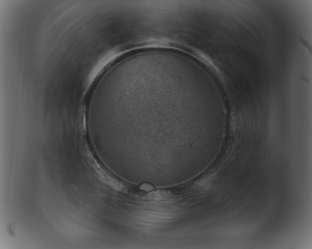 X0000102041368200807181503