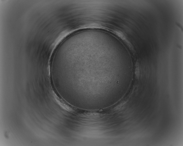X0000102041372200807181503