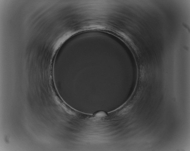 X0000102041373200807181503