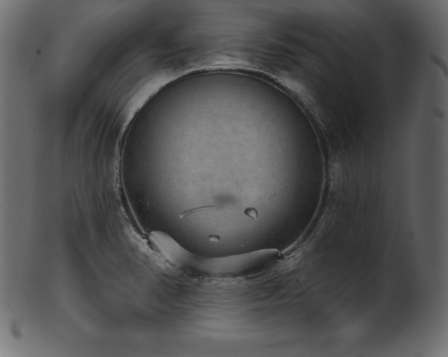 X0000102041374200807181503