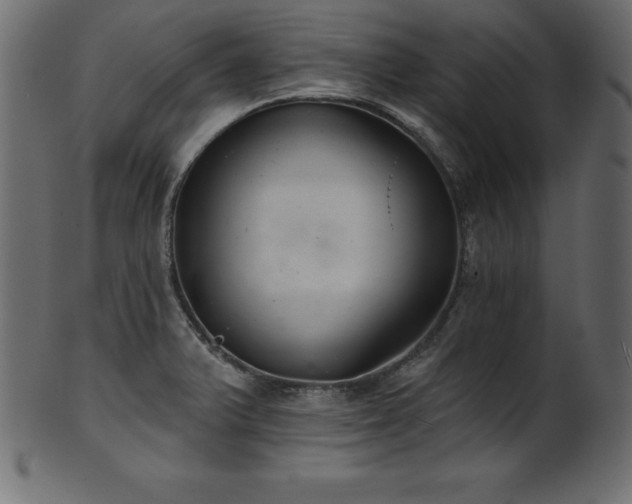 X0000102041375200807181503