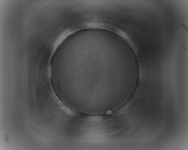 X0000102041376200807181503