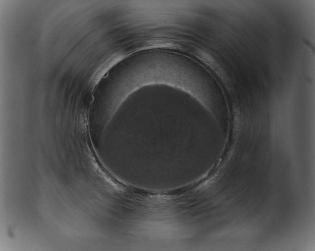 X0000102041377200807181503
