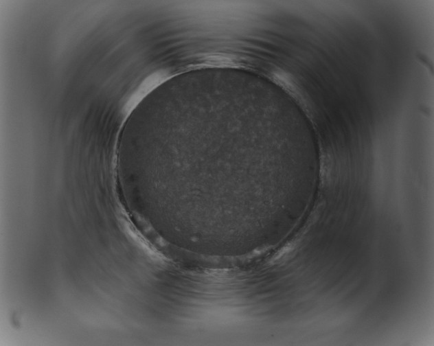 X0000102041378200807181503