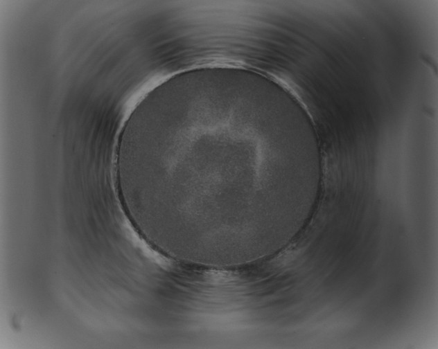 X0000102041379200807181503