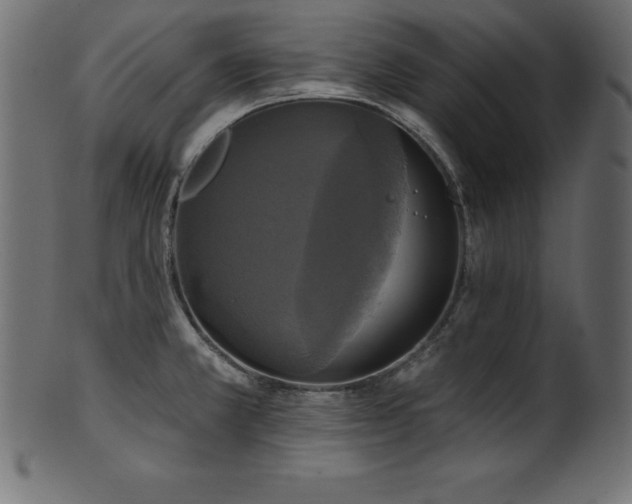 X0000102041381200807181503