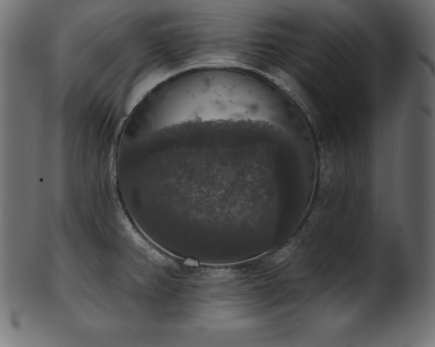 X0000102041382200807181503