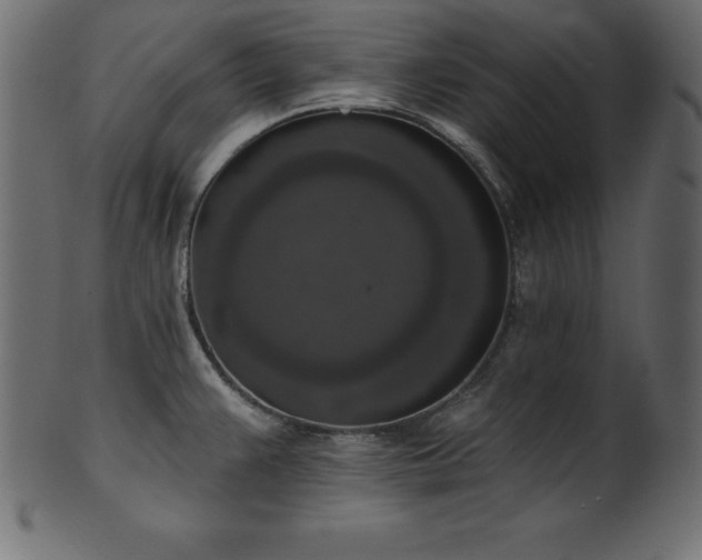 X0000102041383200807181503