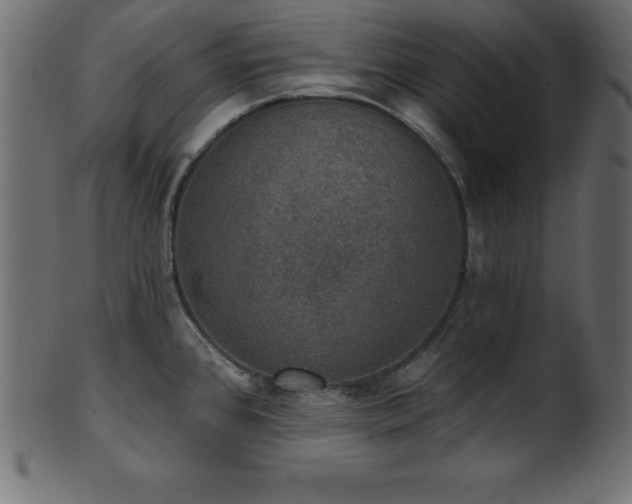 X0000102041384200807181503