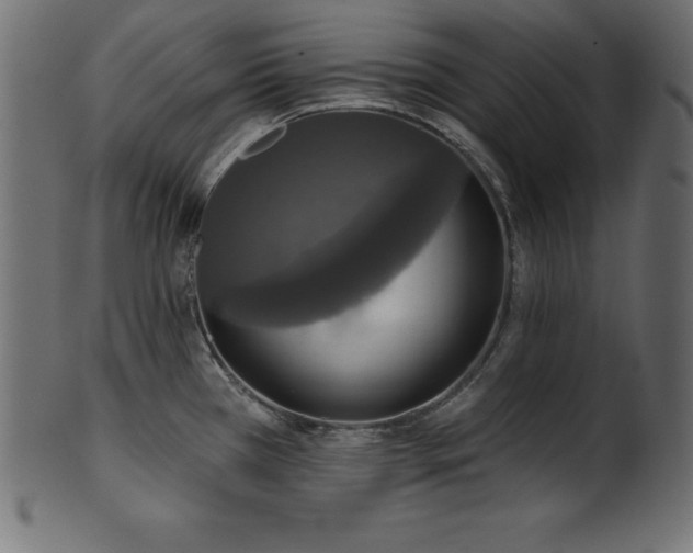 X0000102041385200807181503