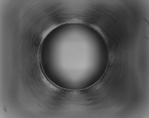 X0000102041387200807181503