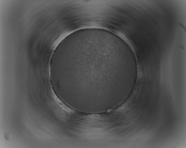 X0000102041388200807181503