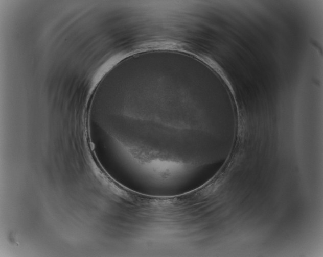 X0000102041389200807181503