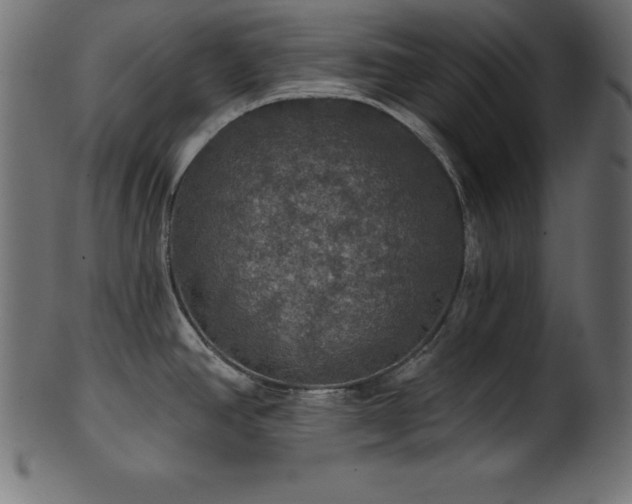 X0000102041390200807181503