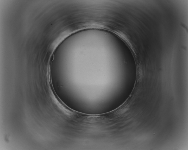 X0000102041391200807181503