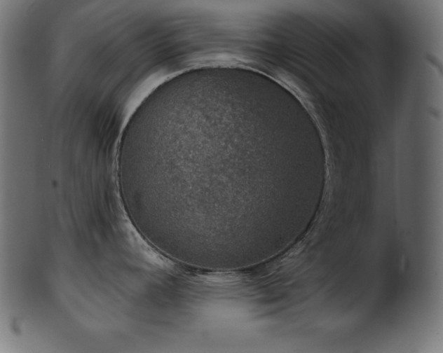 X0000102041392200807181503