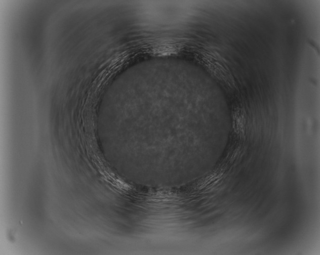 X0000102041393200807181502