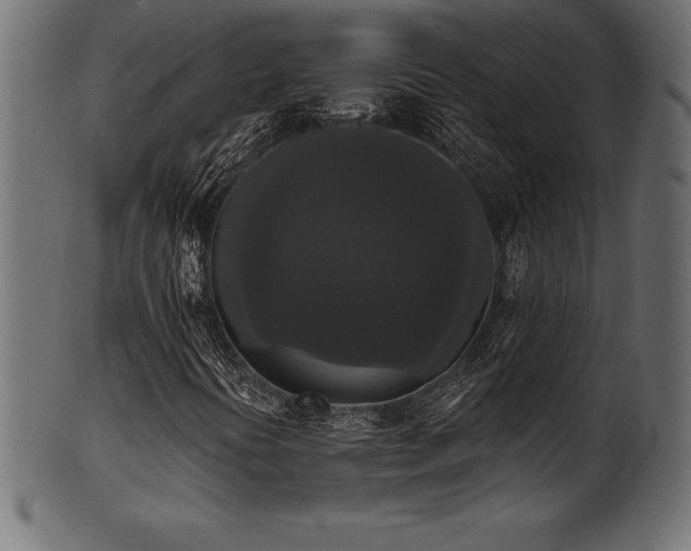 X0000102041394200807181502