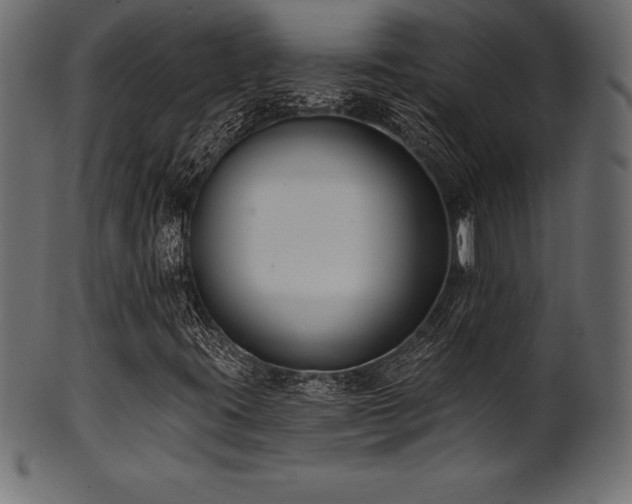 X0000102041395200807181502