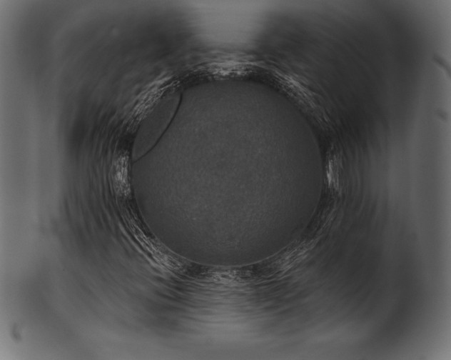 X0000102041396200807181502