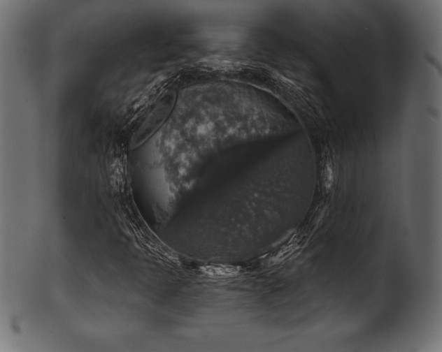 X0000102041397200807181502