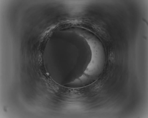 X0000102041398200807181502