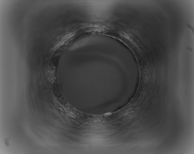X0000102041399200807181502