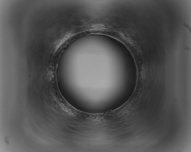 X0000102041400200807181502