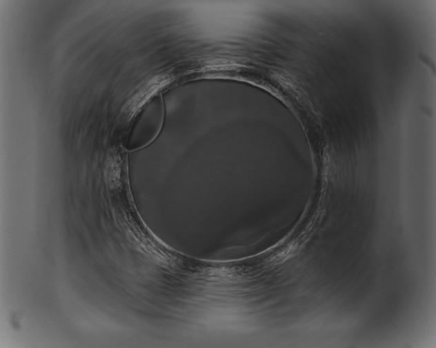 X0000102041401200807181502