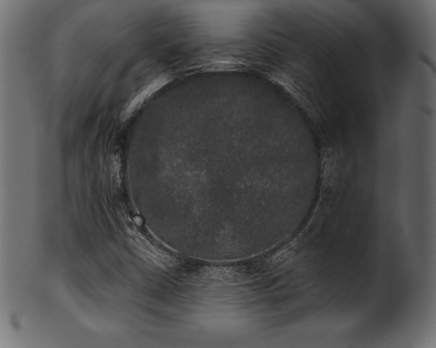 X0000102041402200807181502