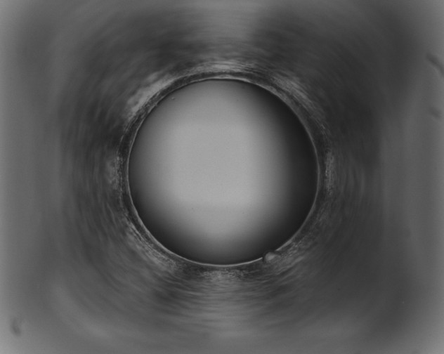X0000102041404200807181502