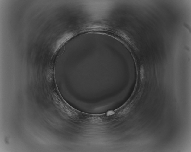X0000102041405200807181502