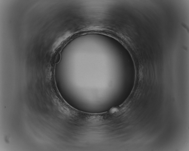 X0000102041406200807181502