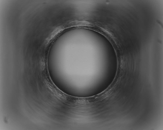 X0000102041407200807181502