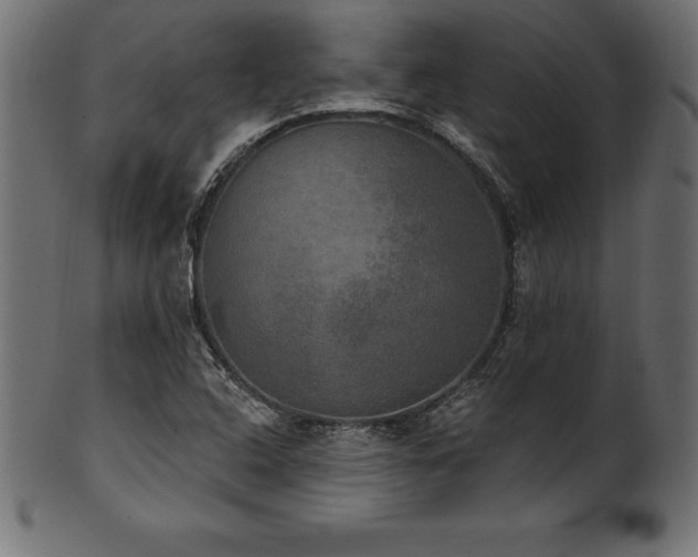 X0000102041408200807181502