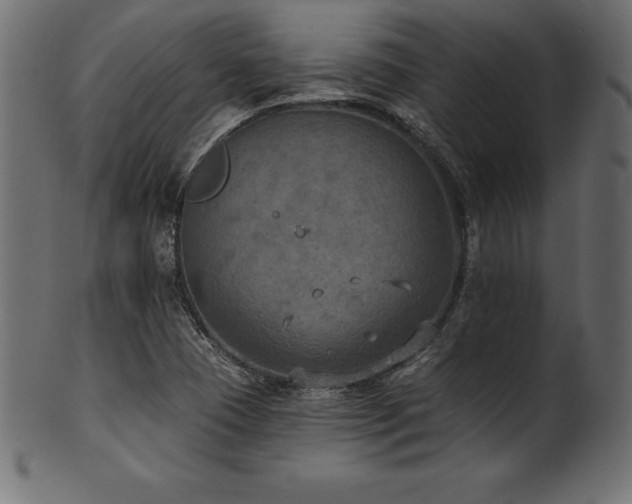 X0000102041409200807181502
