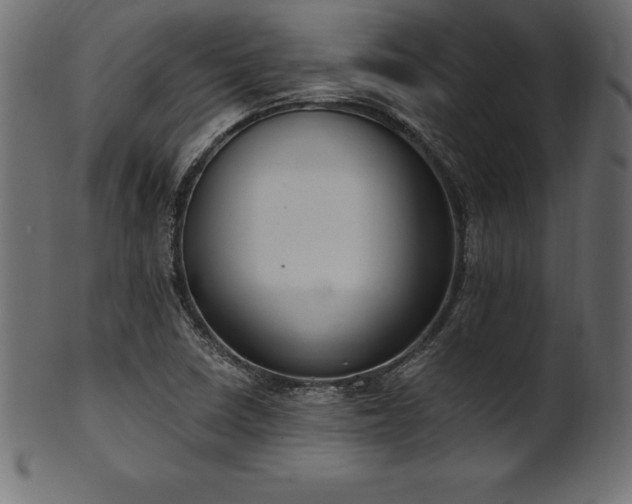 X0000102041410200807181502