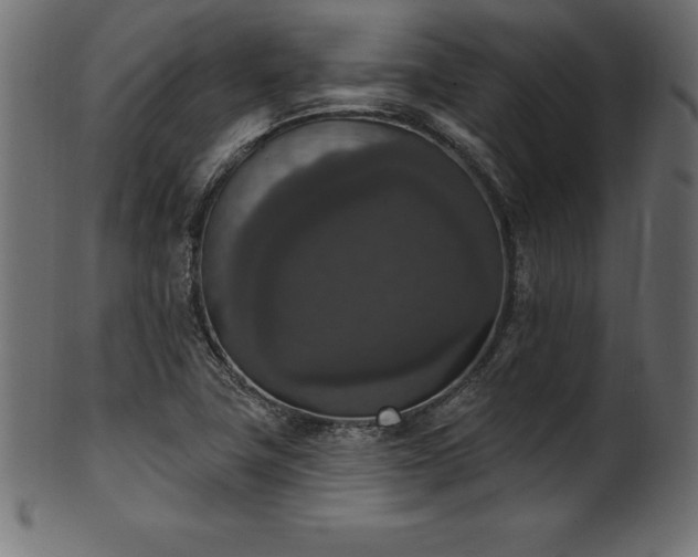 X0000102041411200807181502