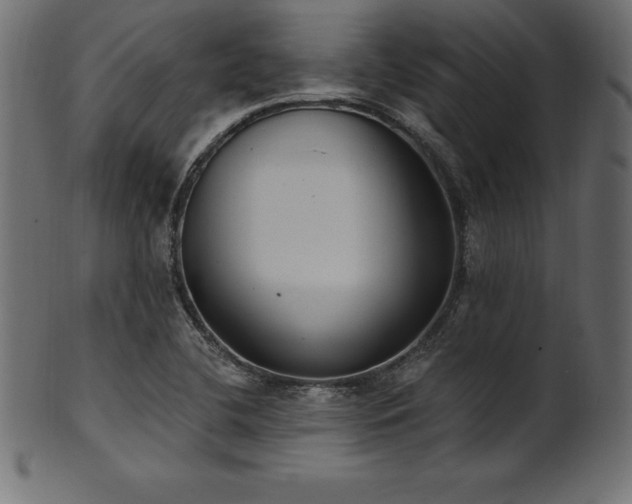 X0000102041412200807181502