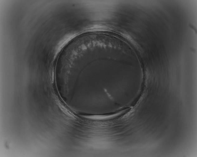 X0000102041413200807181502