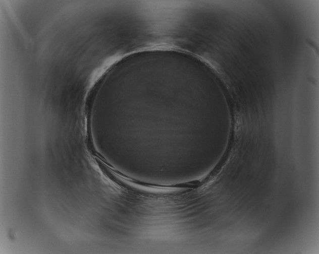 X0000102041414200807181502