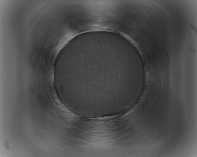 X0000102041415200807181502