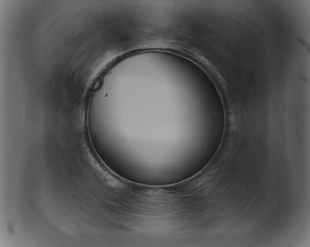 X0000102041416200807181502