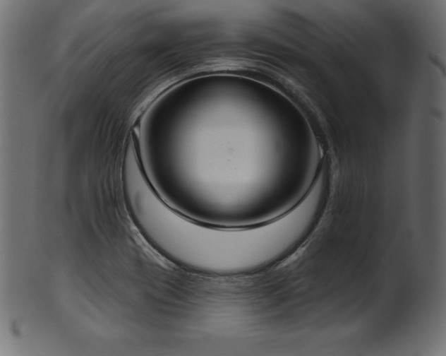 X0000102041417200807181502