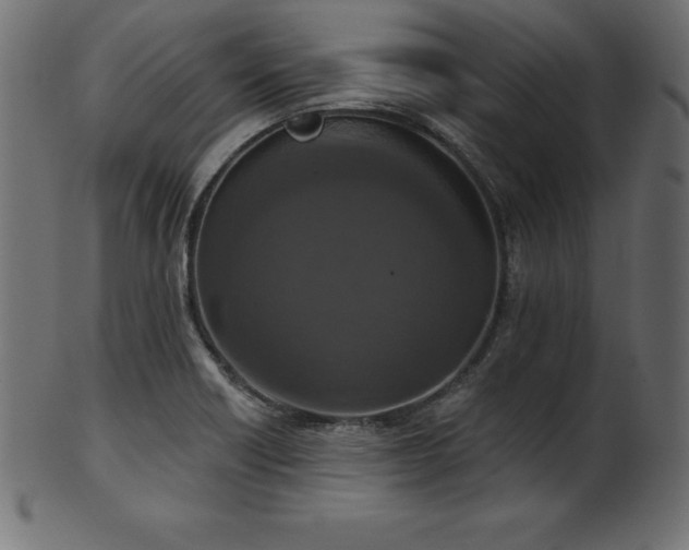 X0000102041418200807181502