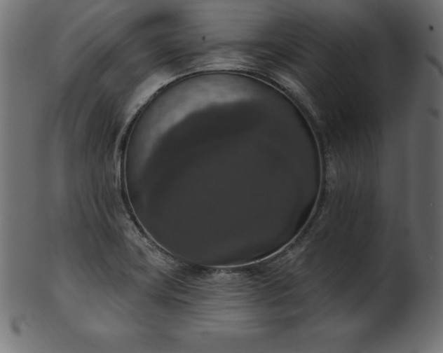 X0000102041419200807181502